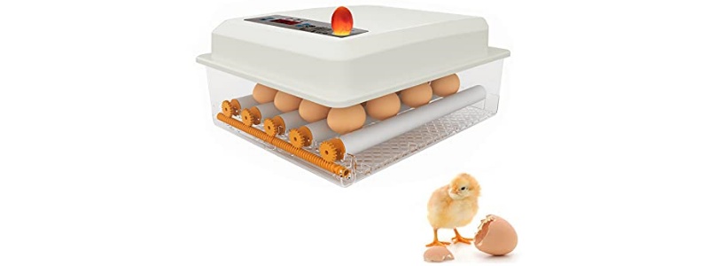 Kiaušinių inkubatoriai